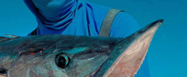 Fishing in Cabo San Lucas: Complete 2025 Guide by Tag Cabo Sportfishing Fishing in Cabo San Lucas: Complete 2025 Guide by Tag Cabo Sportfishing