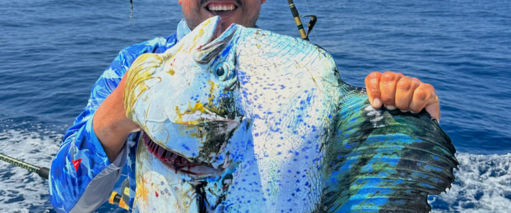 Dorado Frenzy: Multi-Day Mahi-Mahi Action in Cabo’s Summer Waters Dorado Frenzy: Multi-Day Mahi-Mahi Action in Cabo’s Summer Waters
