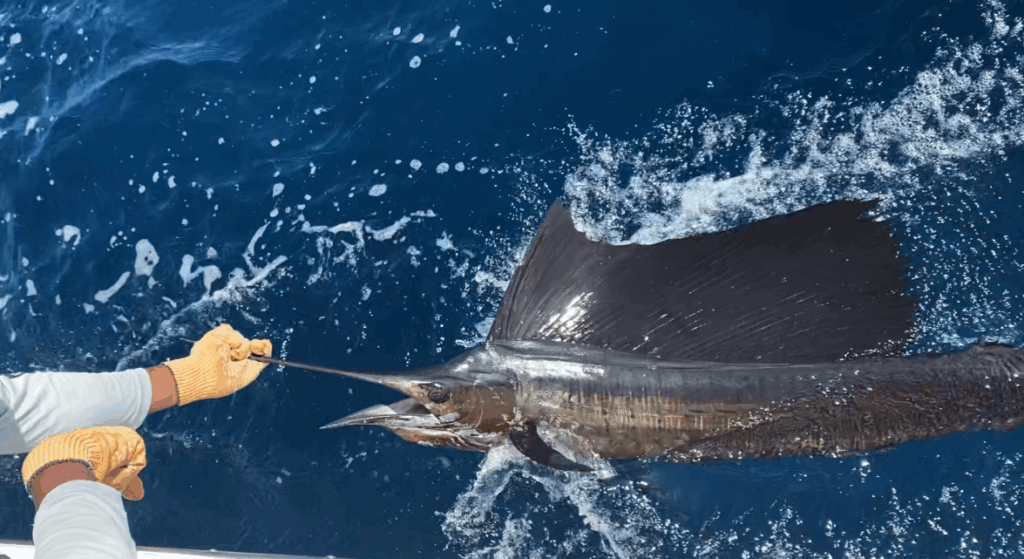 fishing in Quepos Costa Rica