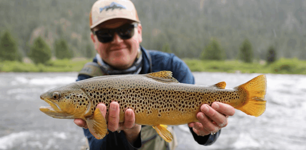 Top 10 Summer Fishing Destinations