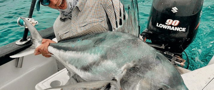 Cabo Roosterfish Guide: Cabo Roosterfish Guide: