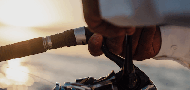 Choosing The Right SHIMANO Stella Reel Choosing The Right SHIMANO Stella Reel