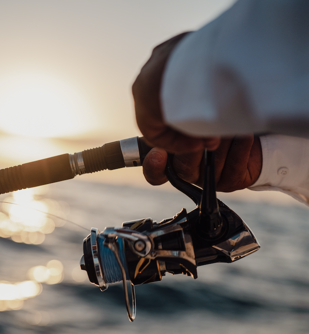 Shimano Stella reels