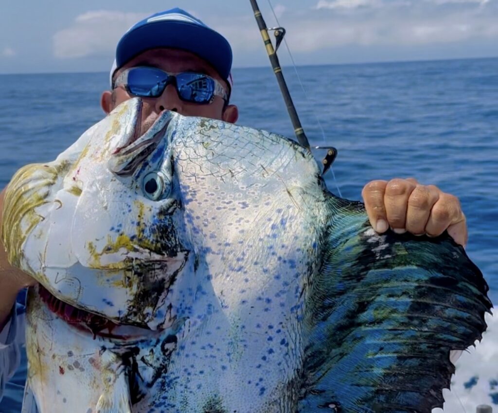 Top Lures for Marlin, Tuna, and Dorado in Baja Waters