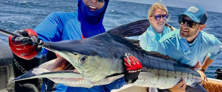 Why Cabo San Lucas Is the Ultimate Summer Fishing Destination Why Cabo San Lucas Is the Ultimate Summer Fishing Destination