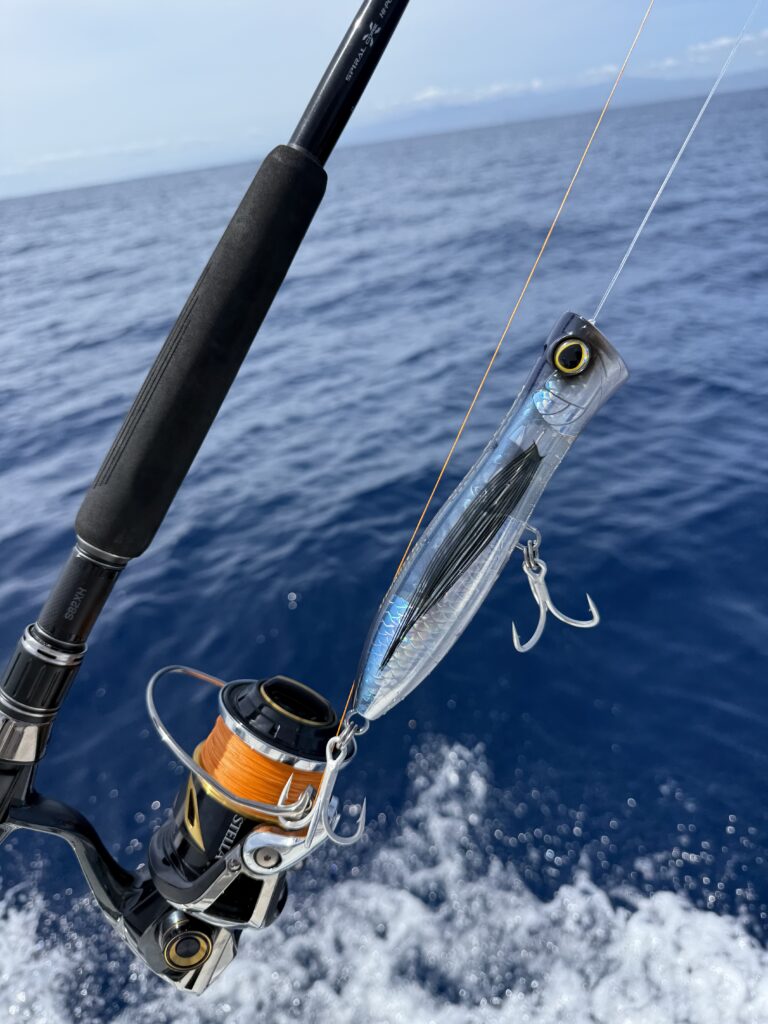 East Cape Fishing Adventures – Catching Yellowfin Tuna on Poppers and Flies