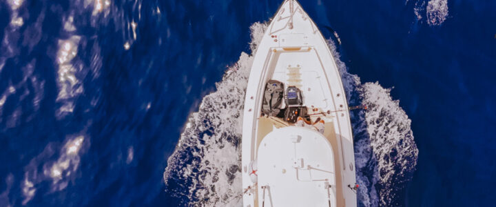 East Cape Fishing Adventures East Cape Fishing Adventures