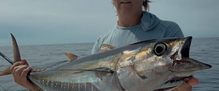 Cabo San Lucas & San José del Cabo Fishing Report – Early November 2025 Cabo San Lucas & San José del Cabo Fishing Report – Early November 2025