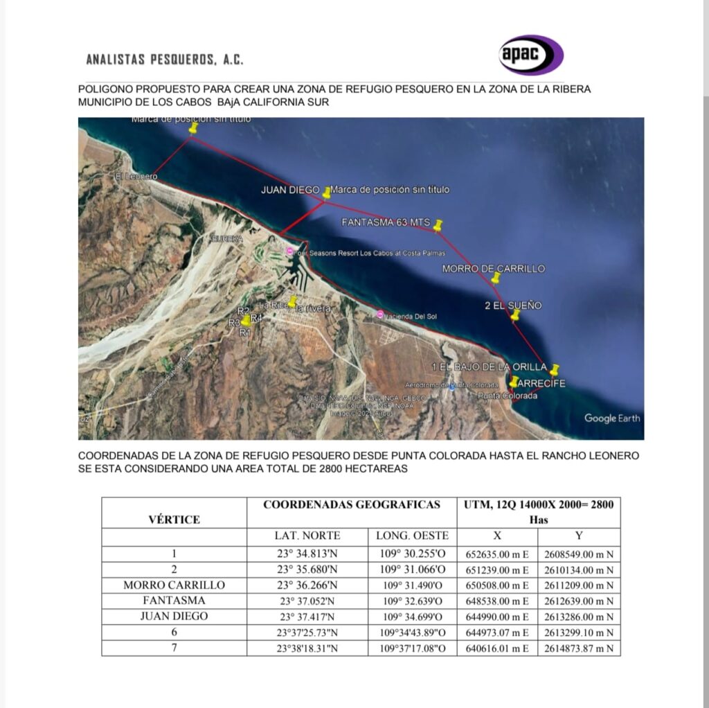 Los Cabos Unites to Protect Its Seas: A Historic Step Toward Sustainable Sportfishing