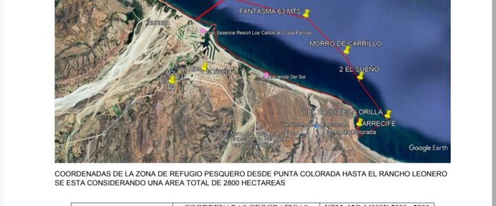 Los Cabos Unites to Protect Its Seas: A Historic Step Toward Sustainable Sportfishing Los Cabos Unites to Protect Its Seas: A Historic Step Toward Sustainable Sportfishing