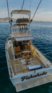 28’ Custom Walkaround: The "Specialist’s" Choice