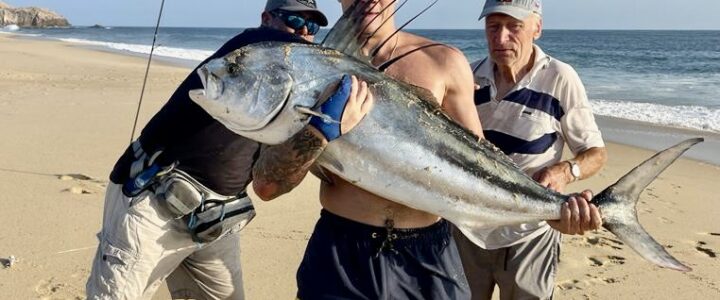 Roosterfish Surf Fishing in Cabo San Lucas (From Shore Guide + Trips) Roosterfish Surf Fishing in Cabo San Lucas (From Shore Guide + Trips)